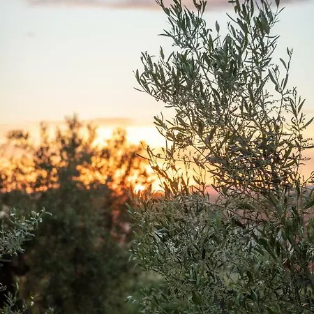 Royalty Loft Apartman Nikíti