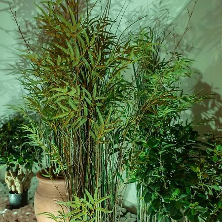 Royalty Loft Apartman